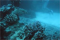 01528_Great Barrier Reef